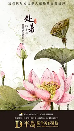 心灵鸡汤 处暑