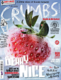 Crumbs 杂志的封面设计，很有食欲。