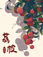 入秋没有荔枝_咕咕咕~__插画师作品_涂鸦王国gracg.com