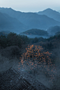 大山里的秋色_风景_POCO摄影