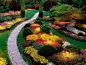 Lovely Butchart gardens, Victoria: 