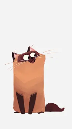 猫咪