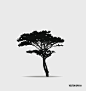 Tree silhouettes. Vector illustration.