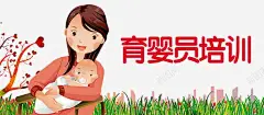 育婴员培训海报 草地 元素 免抠png 设计图片 免费下载 页面网页 平面电商 创意素材