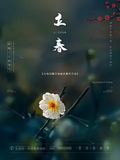 时尚立春节气宣传海报72