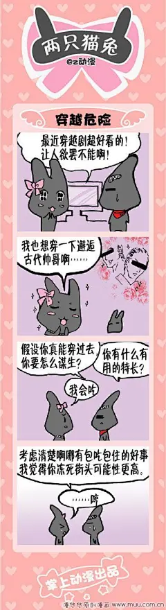 穿越危险-两只猫兔