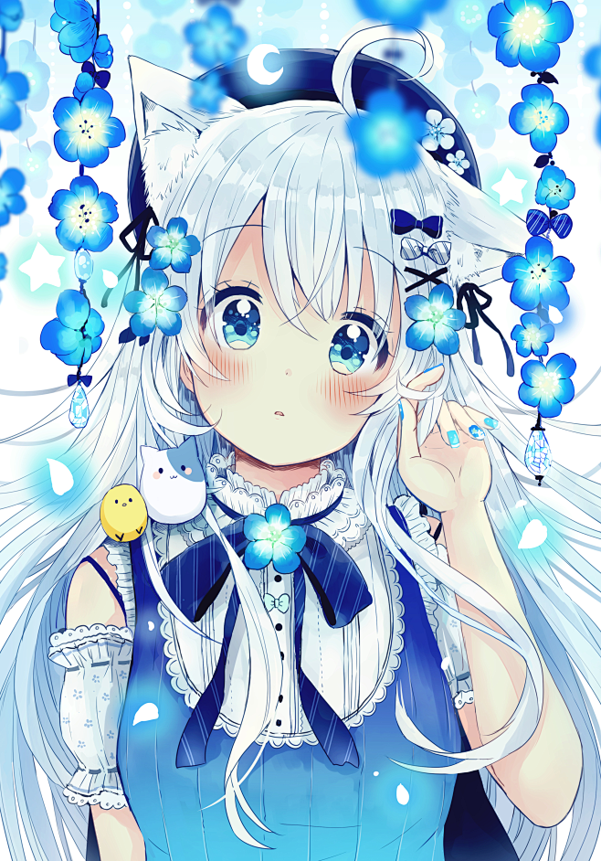 浮花    白猫少女     蓝