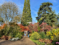 RHS Garden Wisley | 威斯利花园