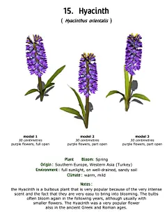 唯美花卉植物插画 彩铅水彩手绘作品 绘画临摹参考素材276张XD002-淘宝网