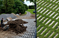 Green Your Driveway with Permeable Concrete Pavers: Gardenista: 