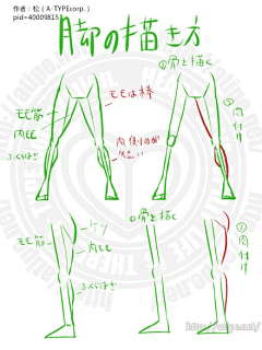 xiyoyoyo采集到人体结构