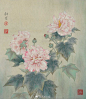 李科宏芙蓉花系列工笔画欣赏 ​​​​