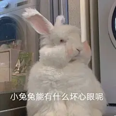 交出我的表情包搞笑表情包无水印​​​