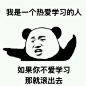 熊猫头表情包：我是一个经不起批评的人