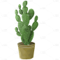 手绘植物系列-仙人掌