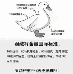 °Mecom采集到详情页