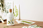 Olive Leaf | Fresh Fragrance Collection : Thymes Olive Leaf collection is wholesome & nourishing. Olive Leaf is a fragrance that is popular with both men & women. Try the Olive Leaf Body Wash.