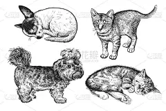 一组可爱的小狗和小猫。手绘猫狗黑白图
