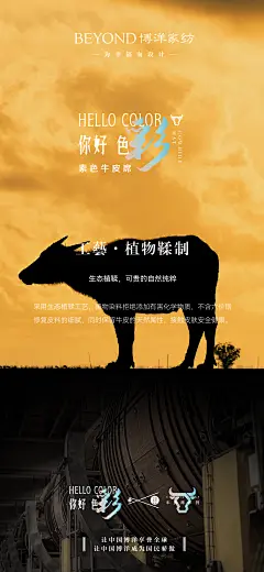 你好素色牛皮席