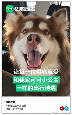 震惊！传阿里百度小米京东网易360集体杀入网约车，连@徐小平  老师格力董阿姨王思聪也进来了。。。哈哈哈，GQ这组洋葱海报太屌了，求认识文案，月薪五万！PS：感觉少企鹅专车和微博专车啊！ ​​​​