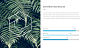 Vidovo - Modern Powerpoint Presentation
