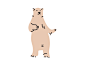 Drib dancing bear