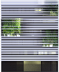 horizontal window