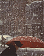 雪/

索尔·雷特 / Saul  Leiter “纽约派”摄影师（美国） ​​​​