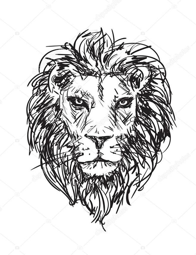 手绘矢量速写的一头狮子