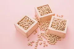 节分之日（立春）撒豆的照片素材