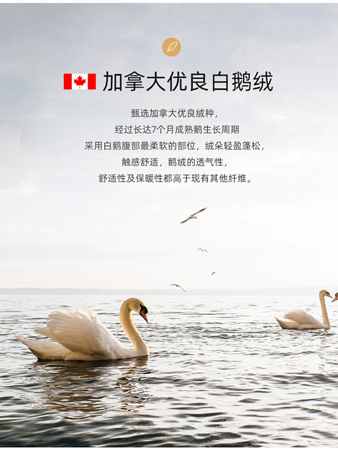 枕头全棉白鹅绒枕插片五星级酒店专用羽绒枕...