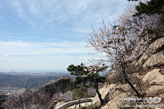 Teamsun采集到游天津盘山-旅游, 卿飞