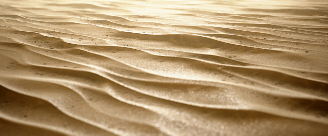 Desert Sand , Daniel...