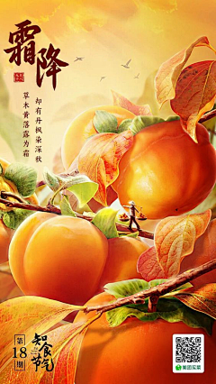 不成龙泽成蟲采集到节气海报参考