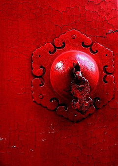 *茉莉——花采集到烈焰红