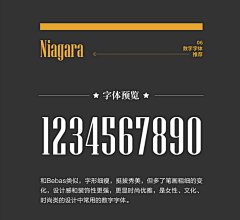 莫师姐采集到价格字体