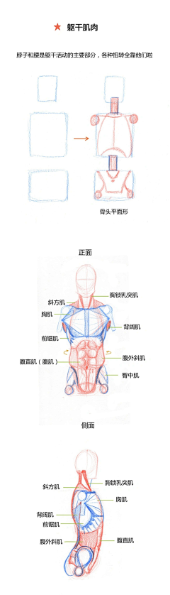 用户1ZNgpiTK采集到待归类采集