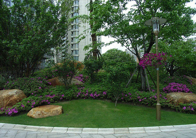 小区绿化园林植物的配置图文并茂景观设计方案秋凌景观网