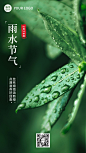 通用雨水节气祝福实景手机海报