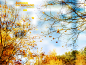 秋季树木与天空背景矢量素材，素材格式：EPS，素材关键词：背景,树木,天空,秋季,风景,秋天
