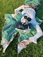 Venti genshin impact cosplay  - 小红书
