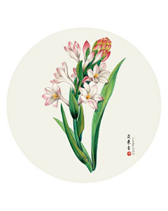 麻烦制造者☞YOYO苏采集到可爱插画