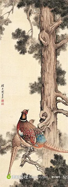 工笔画锦鸡青松图片