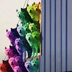 沙雕表情包_相关表情包，逗比拯救世界--专业的表情包搜索网站