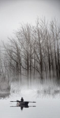 The Man & the Forest by Sam Assadi - Photo 138286411 - 500px