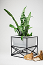 Bunker : The first object from the collection of flower pots for the brand "O! K". "Bunker" - for large and medium-sized plants, consists of a container for plants and a stylish stand.