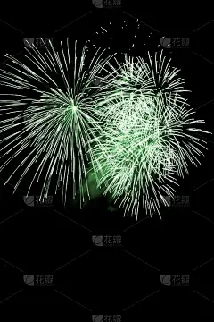 奢华的烟花事件天空秀与绿色大爆炸星星