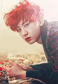 #exo##朴灿烈##吴世勋##鹿晗##边伯贤##吴亦凡##张艺兴##金俊绵##金钟大##金钟仁##黄子韬#壁纸