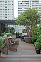 A beautiful rooftop garden.: 