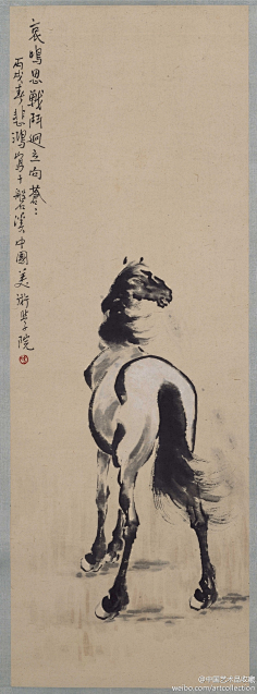 com采集tomato兔子采集到书法中国名家名画之一——徐悲鸿的马webyuan
